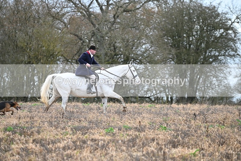 WJ6_9474 - Line Four