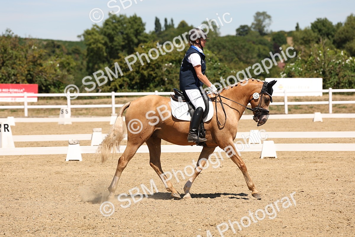 SBM_002218 - Elementary 4 Warm Up