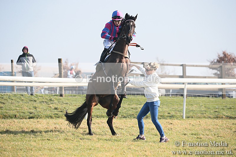 PtP 230219 8 - Vine & Craven Point-To-Point - Barbury 23/02/19