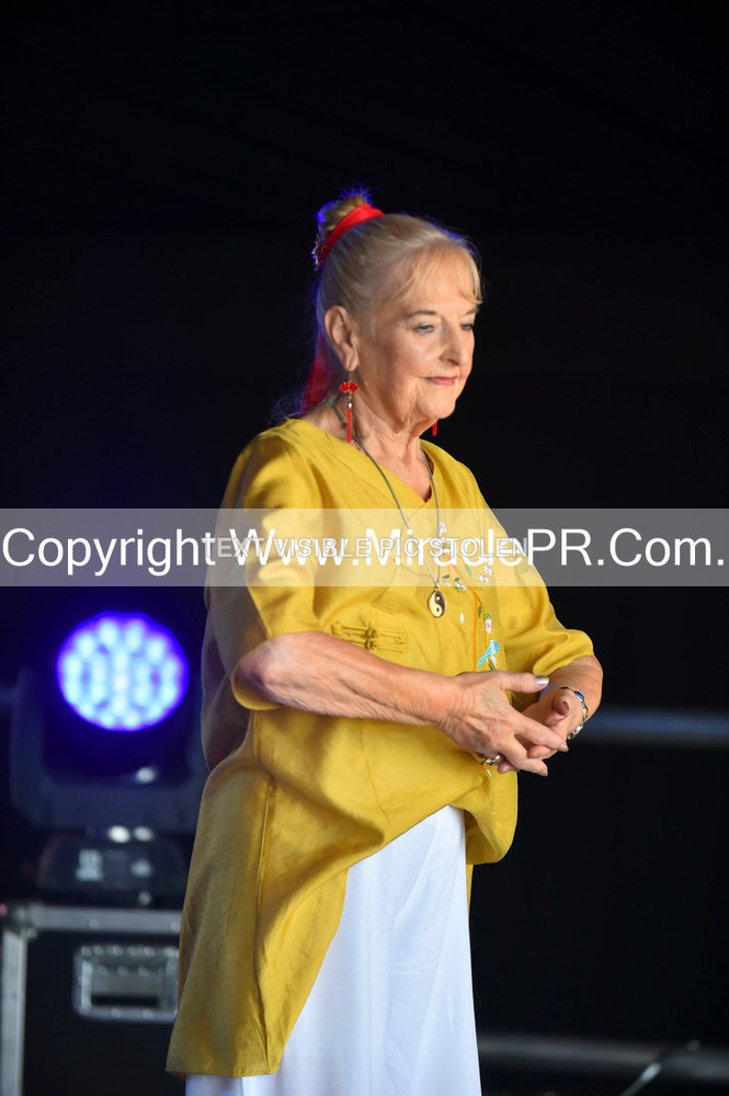 SH4_1340 - Tai Chi with Lisa Kay.