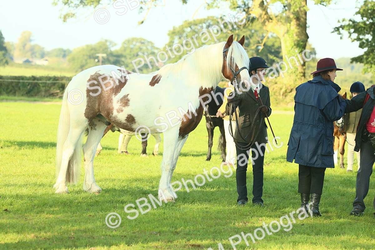 SBM_57520 - S37 - Starters In Hand Showing