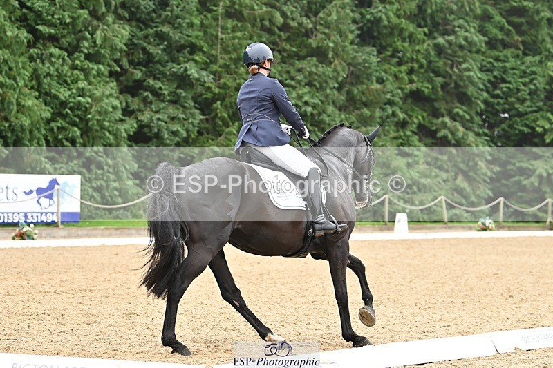 240811-120230-05324 - 118-Katie.Kneen-Springtime.Evergreen