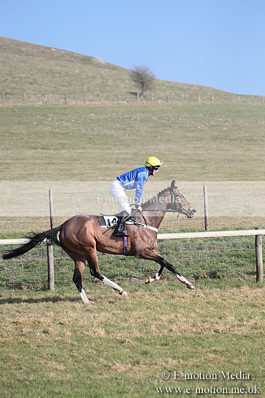 PtP 230219 272 - Vine & Craven Point-To-Point - Barbury 23/02/19