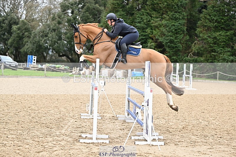 250201A-124048-00667 - Cls 03 Local Horse 110cm