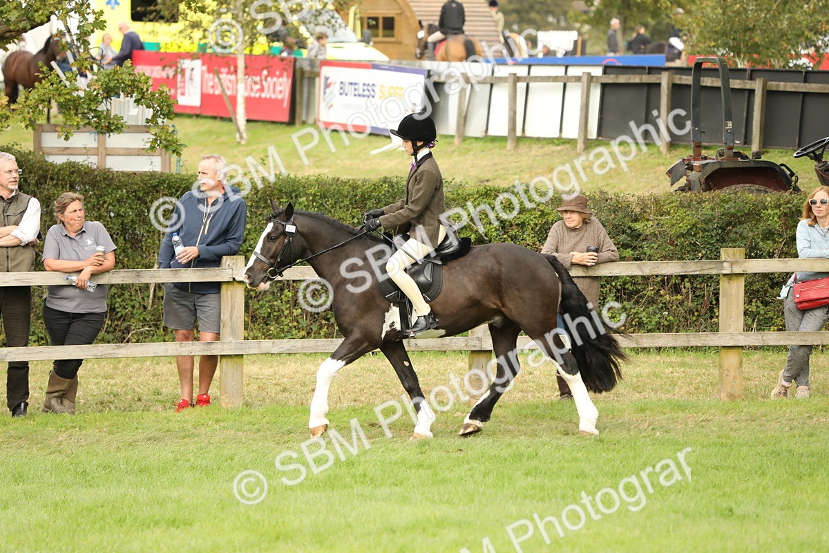 SBM_71579 - S41 - Ridden Equitation (Best Rider)