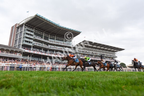 yr23072022r7-23 - Race 7 5.35pm Sky Bet Paying Extra Places Stakes