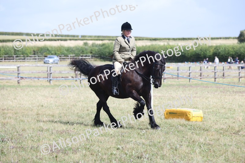 20250831-2928 - Class 19 - Mountain and Moorland