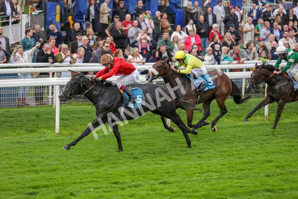 080924-Race 3-Brighton Boy-4413 - Race 3 2.50pm Irish Thoroughbred Marketing Nursery Handicap