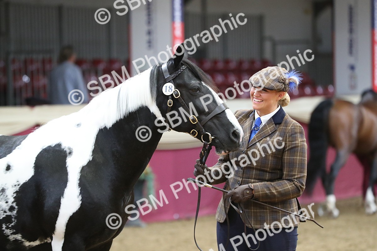 SBM_06409 - Class 9R Regional- IH Pre Vet