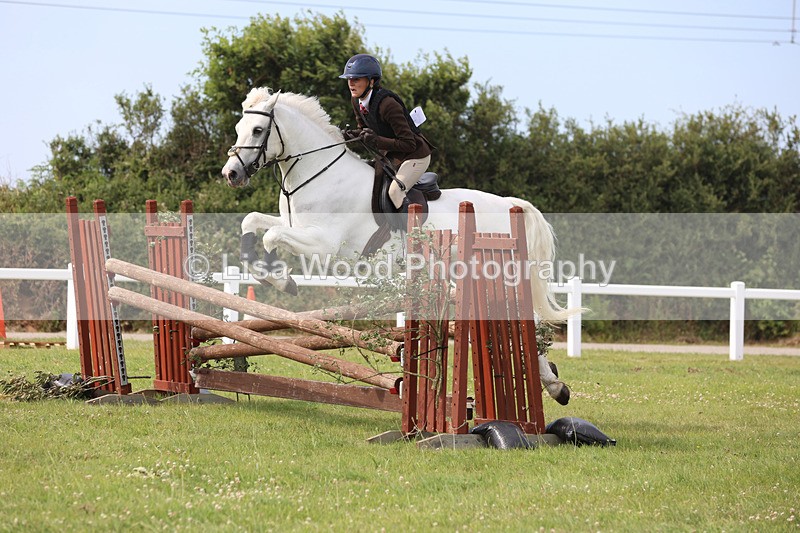 JPP_4020 - Class 24: Working Hunter 90cm