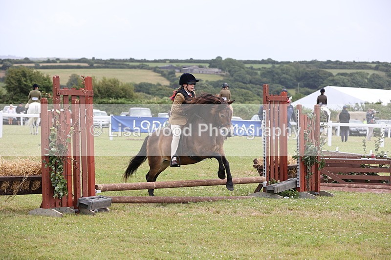 JPP_1777 - Class 18: Tiny Tots Working Hunter Pony