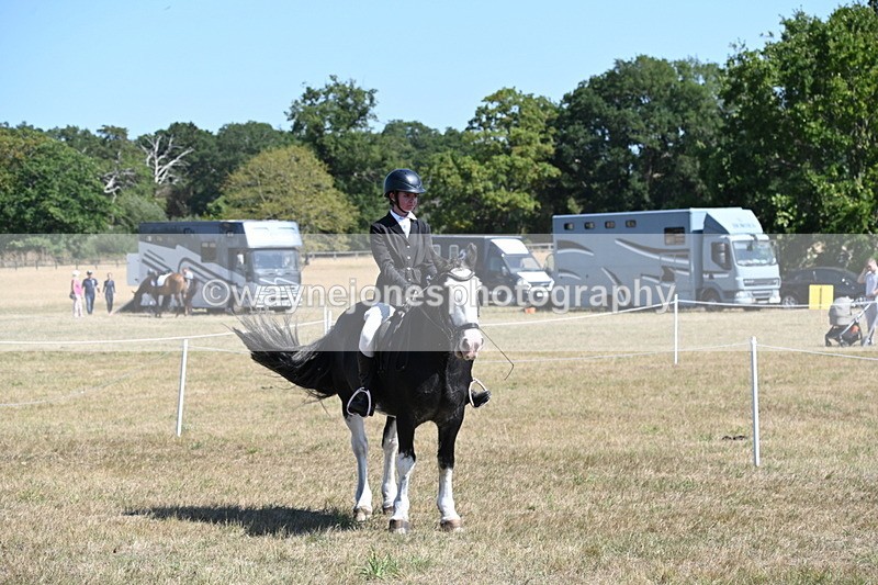 WJ6_8451 - Class 37a Best Loan Pony Ridden