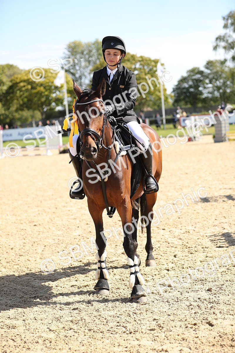 SBM_04776 - J28 - Senior Horse & Pony 60cm Championships