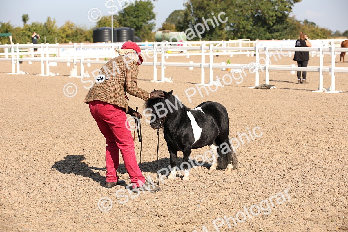 SBM_01522 - Class 15 IH Coloured