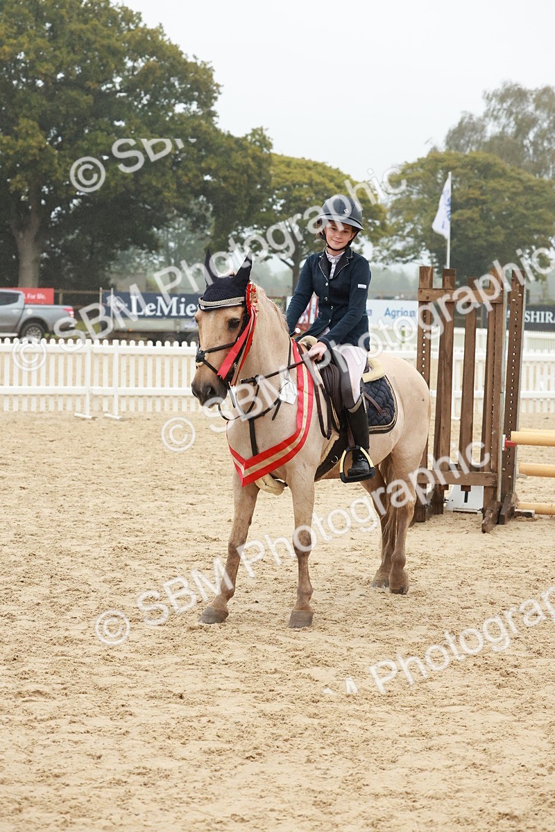 SBM_73500 - Supreme Championship Junior Pony 60cm & 65cm
