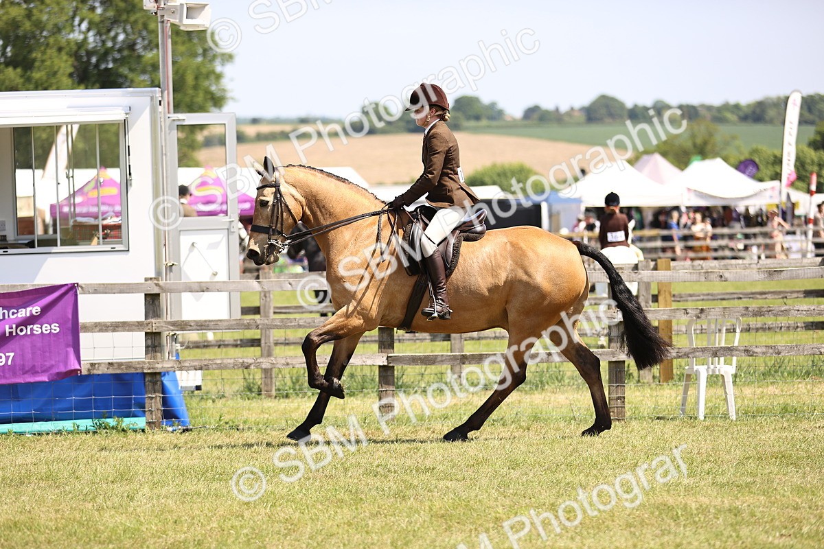 SBM_15086 - Class 79-80 - LIHS BSHA Rising Star Ridden Hunter