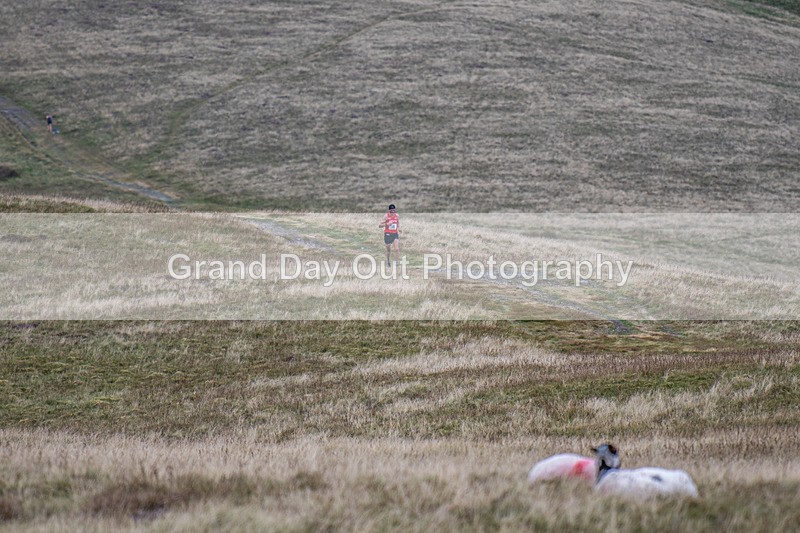 Sedbergh Hills-346 - Sedbergh Hills Fell Race Sunday 16th August 2026