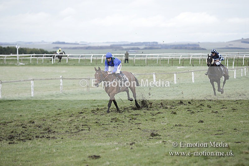 PtP 150320 0694 - New Forest Point-to-Point Larkhill 15/03/20