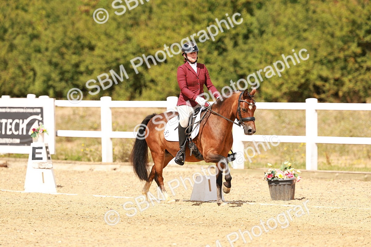 SBM_018633 - Class 9 - N5 Bronze 11.57.13.07