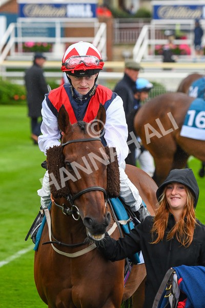 140723-Race 6-Copper Knight-0571 - Race 6 4.55pm Irish Thoroughbred Marketing Handicap
