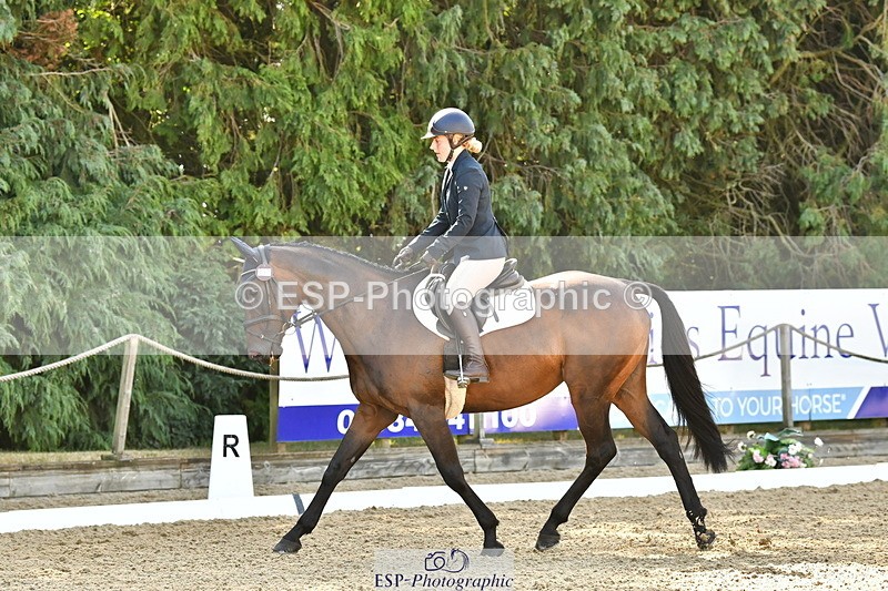 260801A-095509-02737 - Prelim Bronze Start - 11.35