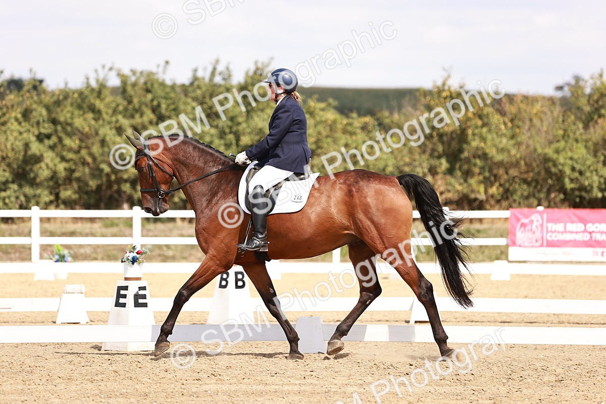 SBM_018511 - Class 17 - Novice 6