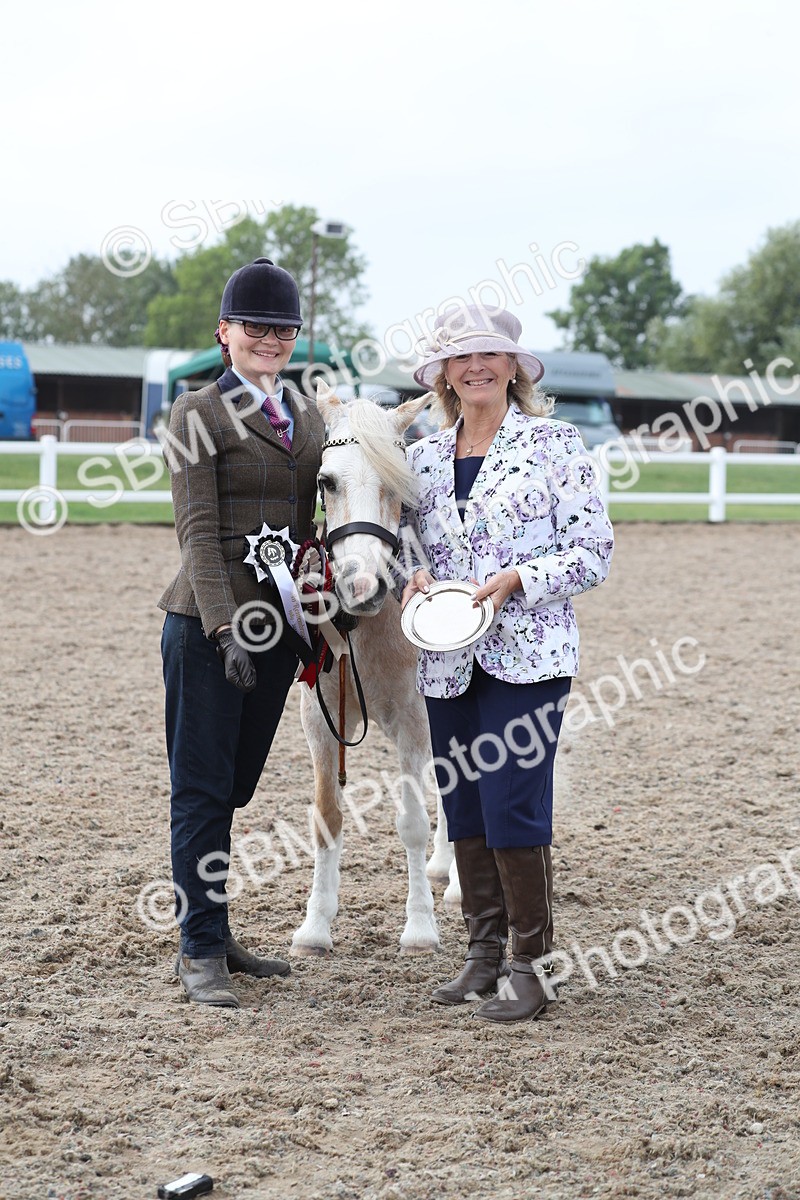 SBM_22566 - Class 604 - 2025 Area - IH Diamond