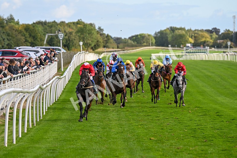 021024-Race 6-Redrosezorro-9619 - Race 6