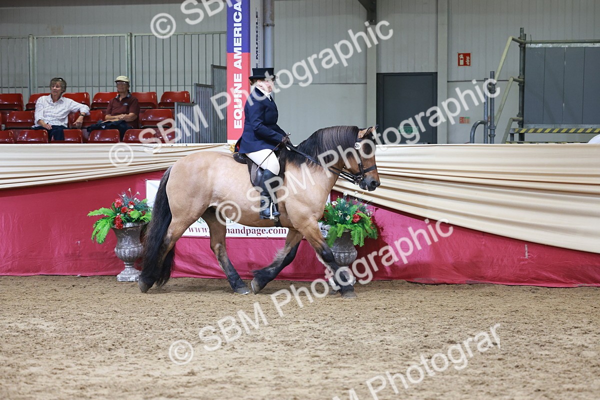 SBM_18540 - Class 952 - M&M Ridden Supreme Final