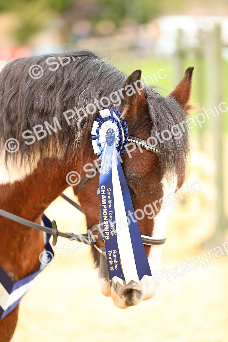SBM_72800 - Supreme Championship - PM