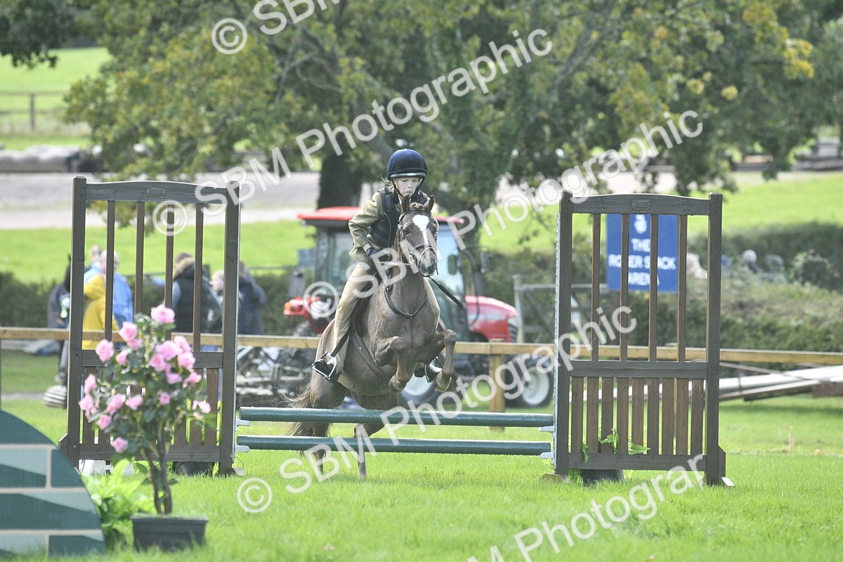 SBM_37193 - S31 - Novice & Newcomer Working Hunter Pony
