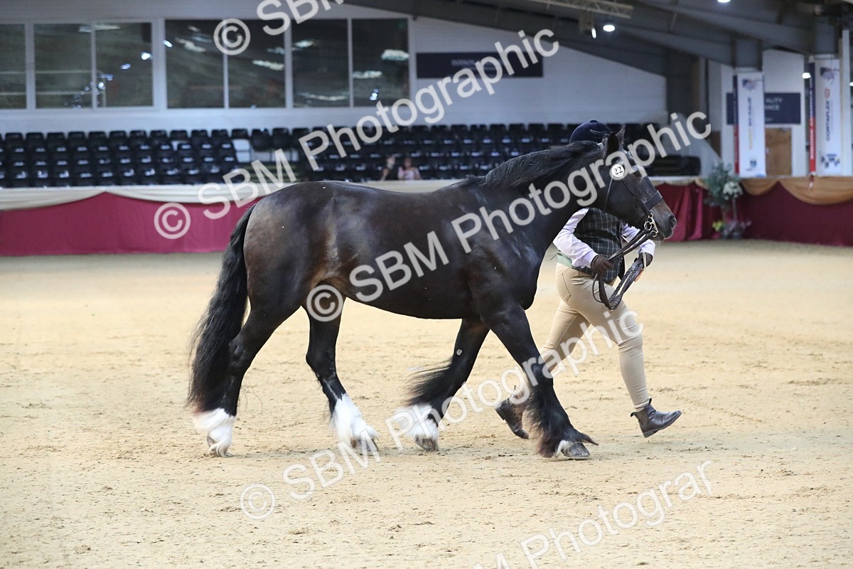 SBM_00542 - class 2a Area IH Veteran