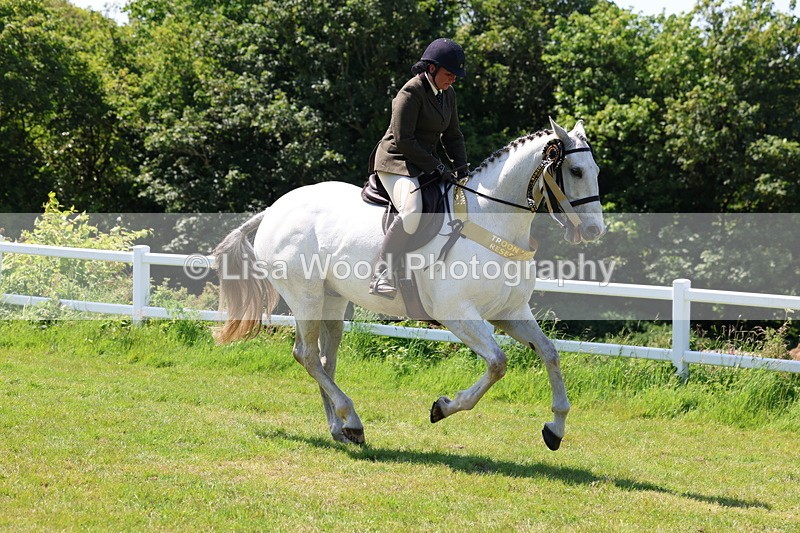 3E7A8148 - Working Hunter Championship