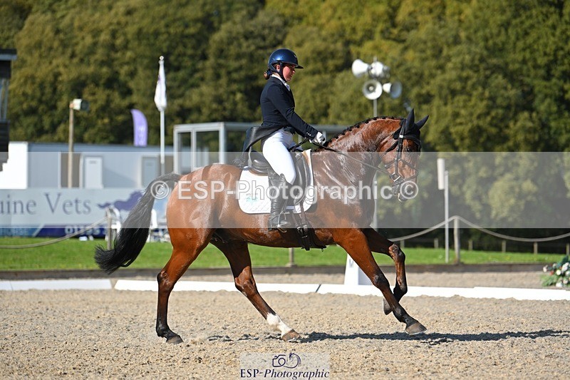 230526-173341-07640 - 264-BALLADEER_JUST_FOR_KICKS-Ellie_Healy-WEDTrotUp+DR