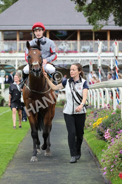 yr04092022r1-47 - Race 1 1.45pm IRE Incentive, It Pays To Buy Irish EBF Novice Stakes