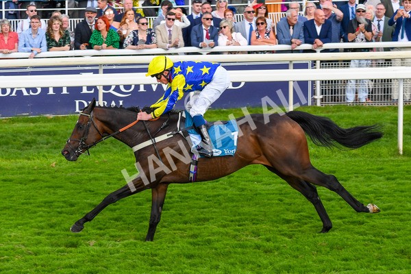 260823-Race 7-Astro King-1081 - Race 7 Sky Bet Finale Handicap at York