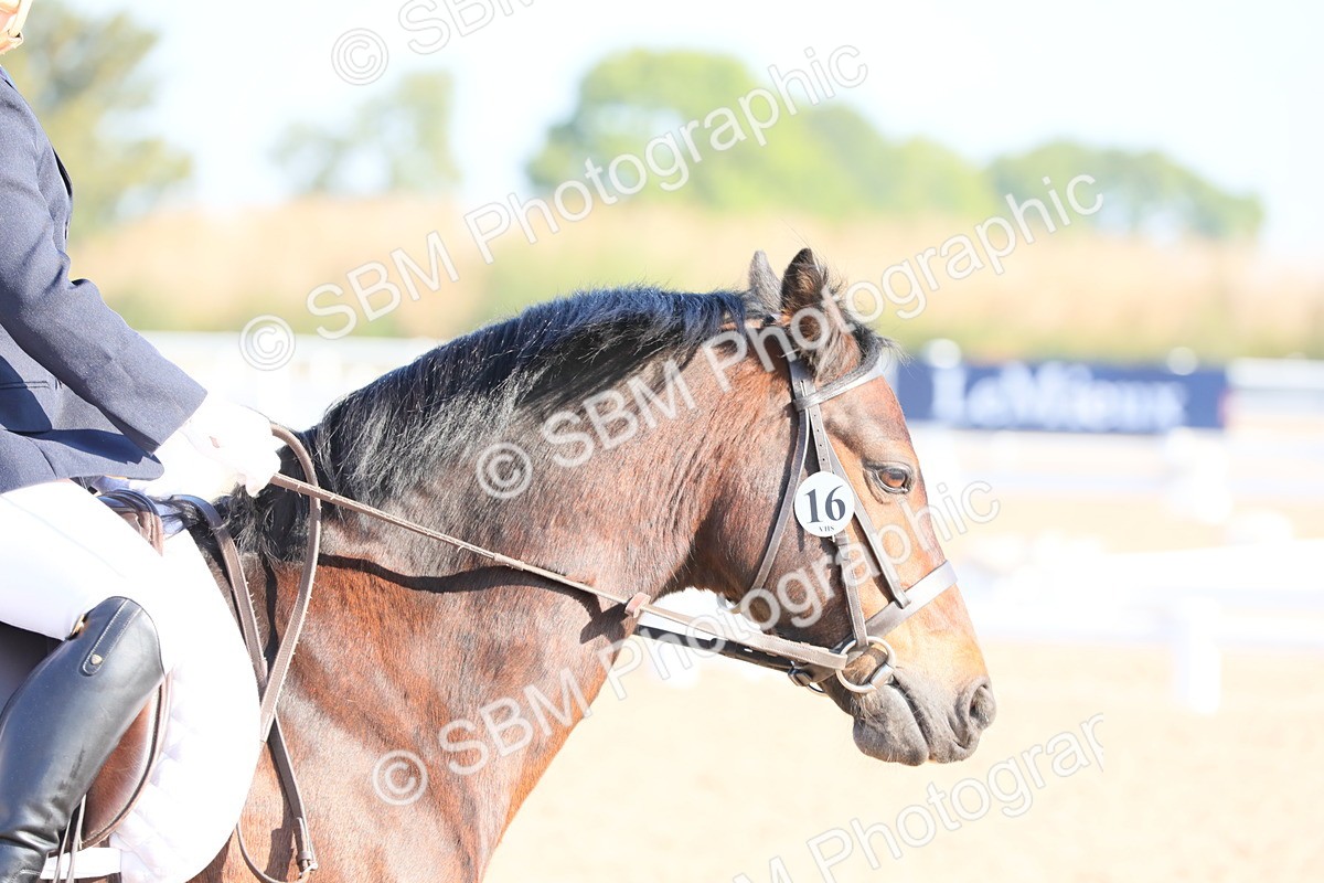 SBM_00960 - Class 30 Intro 1