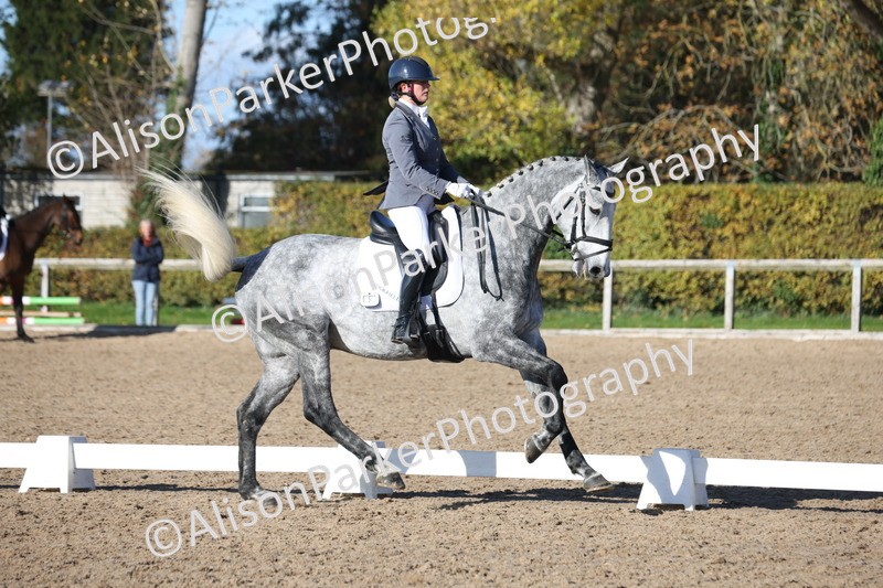 20251102-0808 - Class 5 - Elementary 5