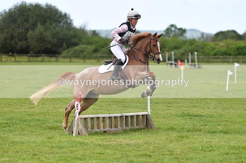 WJ5_2506 - Class 2 40cm