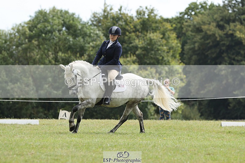 240824X-122727-27107 - D80 Section G and H 12.00 to 13.30