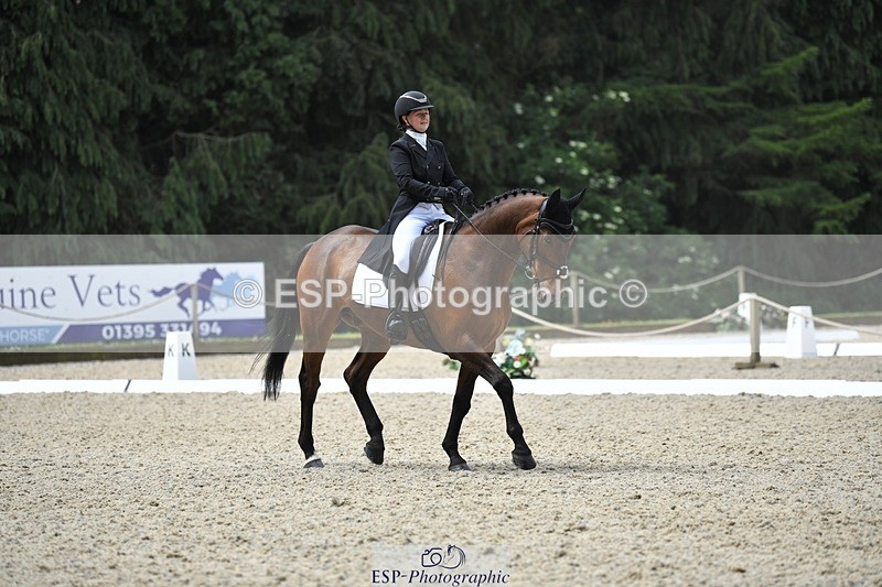 230525-114350-01886 - 103-CLOUDED_LEOPARD-Jessica_Coombes-WEDTrotUp+DR