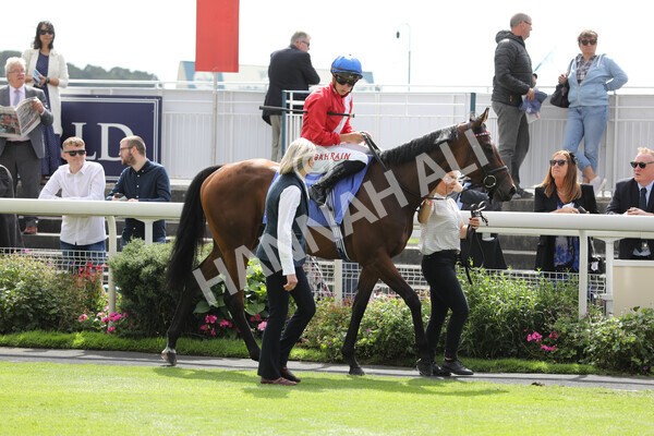 yr20082022r3-3 - Race 3 3.00pm Sky Bet City of York Stakes