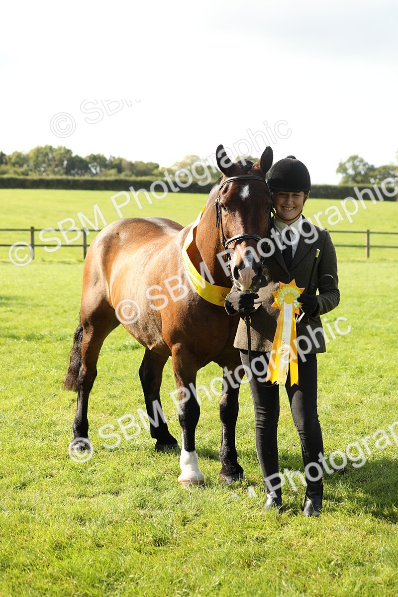 SBM_62353 - S45 - Mini Show Cob In Hand