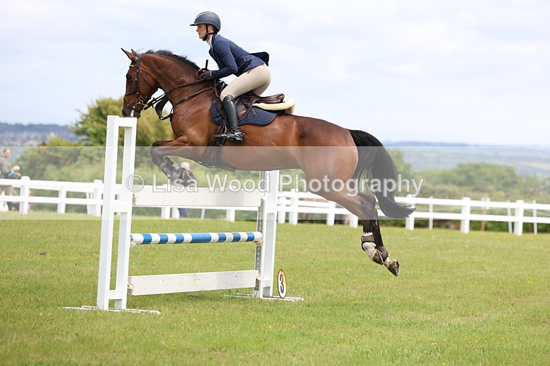 3E7A7121 - Class 12: Senior Foxhunter/1.20 open