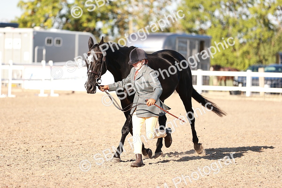 SBM_11197 - Class 401 - IH  Veteran horse