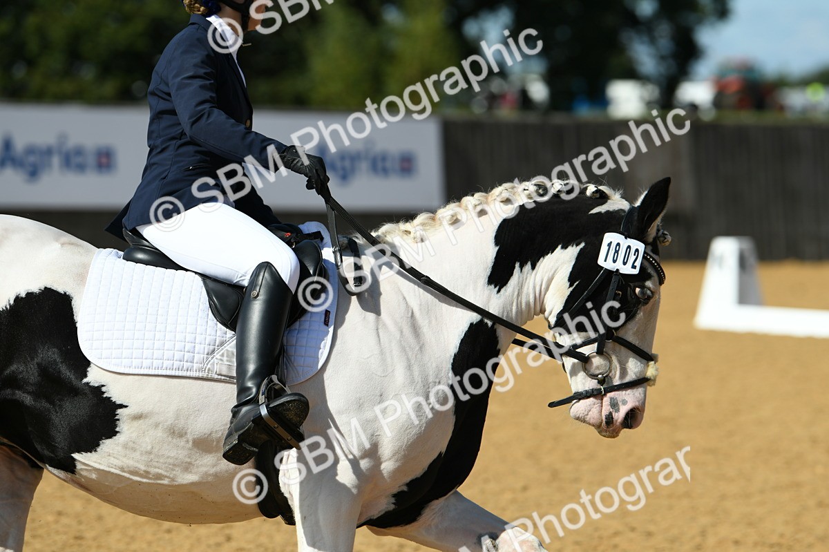 SBM_22708 - D13 - Grand Tour Championship - Prelim 12