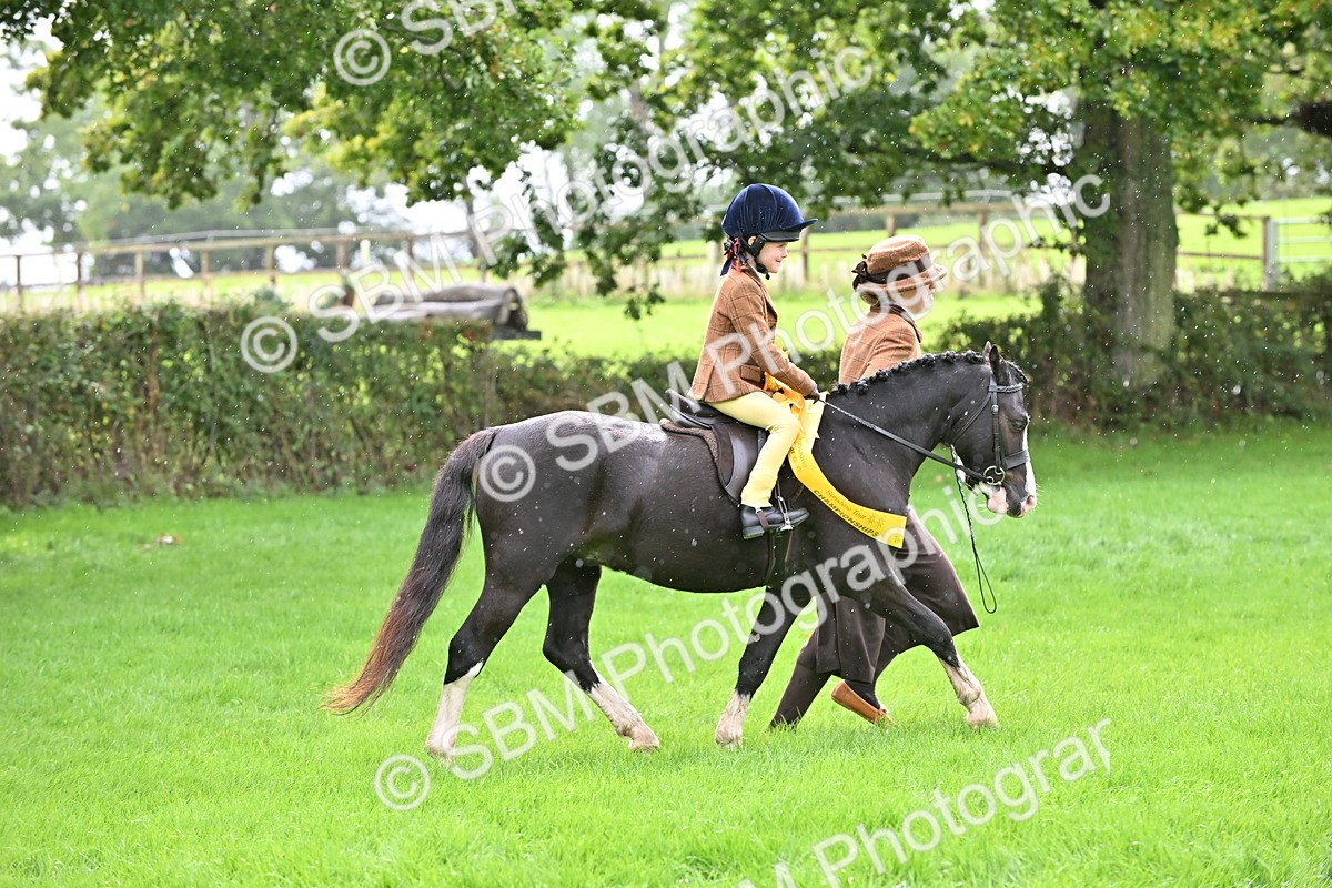SBM_38366 - S19 - Lead Rein Show & Show Hunter Pony