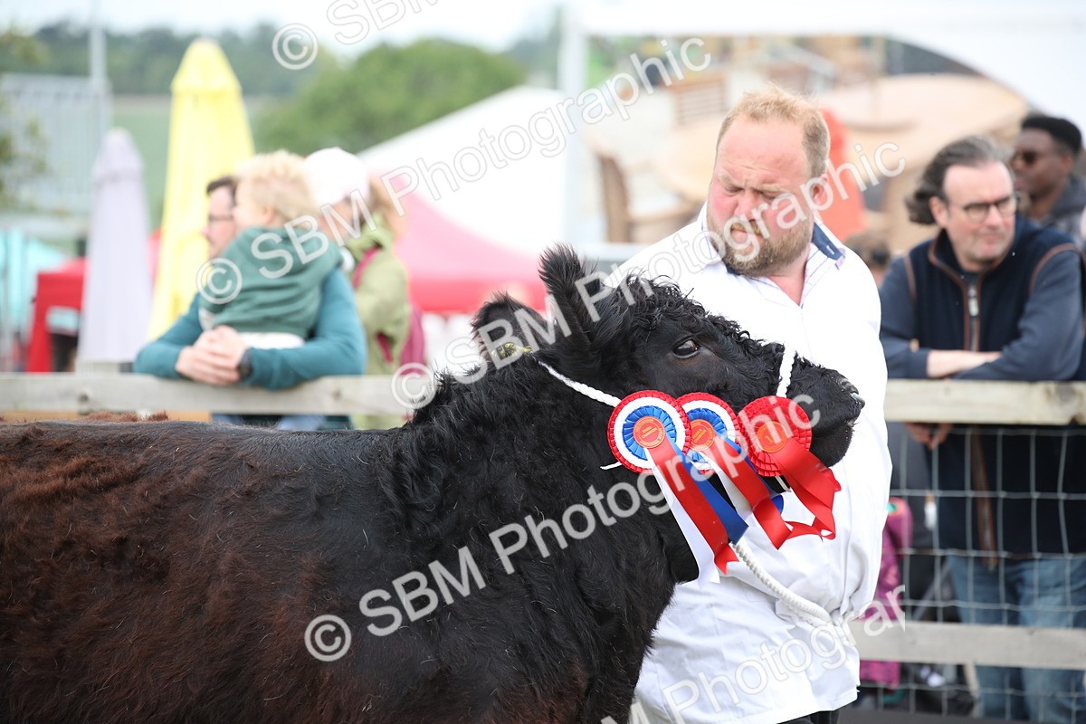 SBM_07839 - Grand Parade