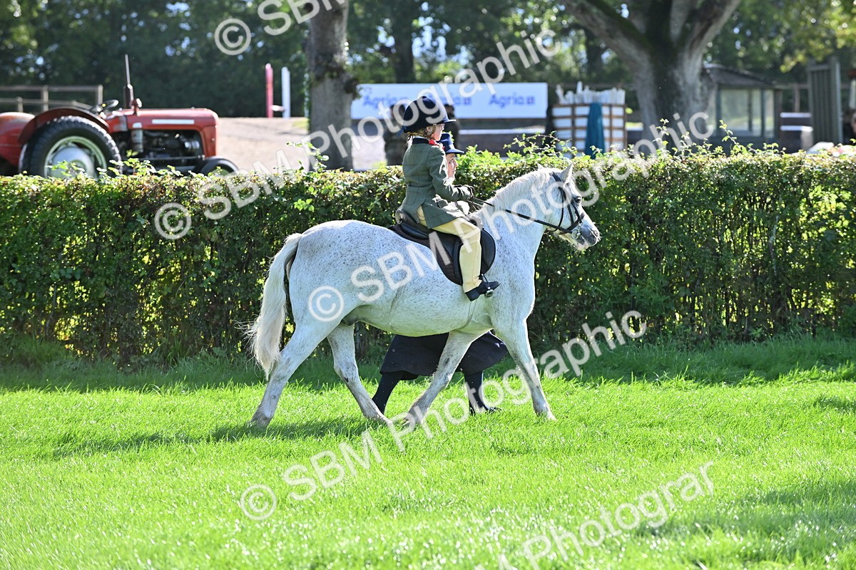 SBM_37413 - S18 - Novice & Newcomer Lead Rein Pony