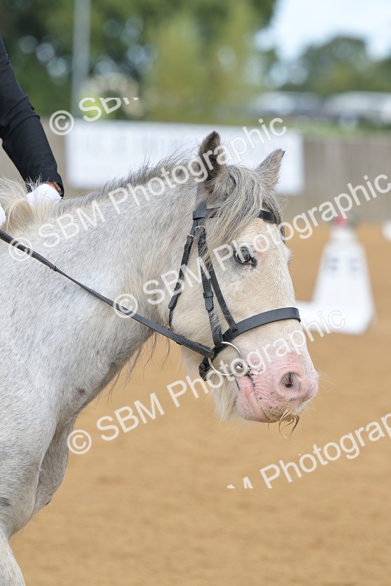 SBM_03741 - D2 - Small Tour Championship Intro 2